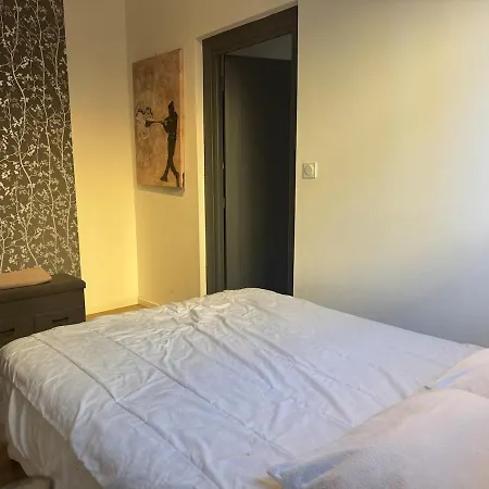 2 Climatise Avec Terrasse Renove Prox Thermes Du Boulou Daire *