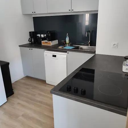 Appartement 2 Climatisé Avec Terrasse Rénové Aux Thermes Du Boulou *